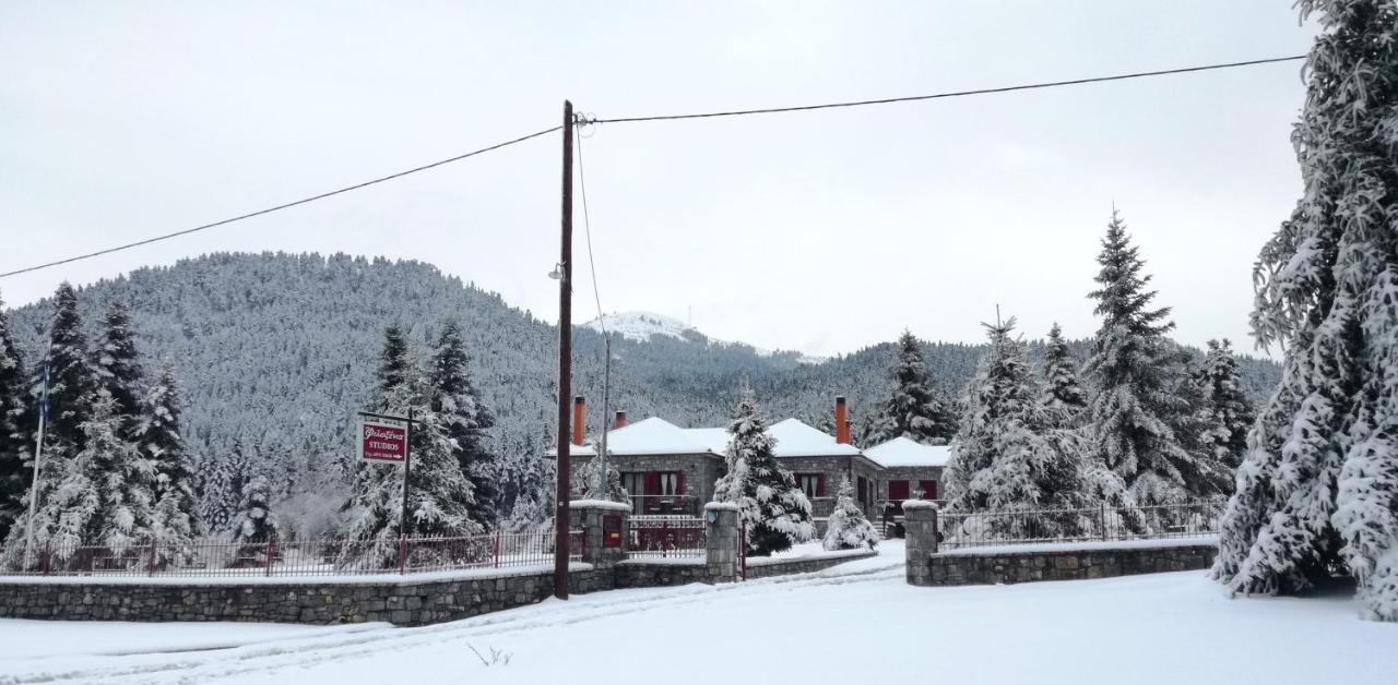 Φιλοξένια Studios Vitina Buitenkant foto